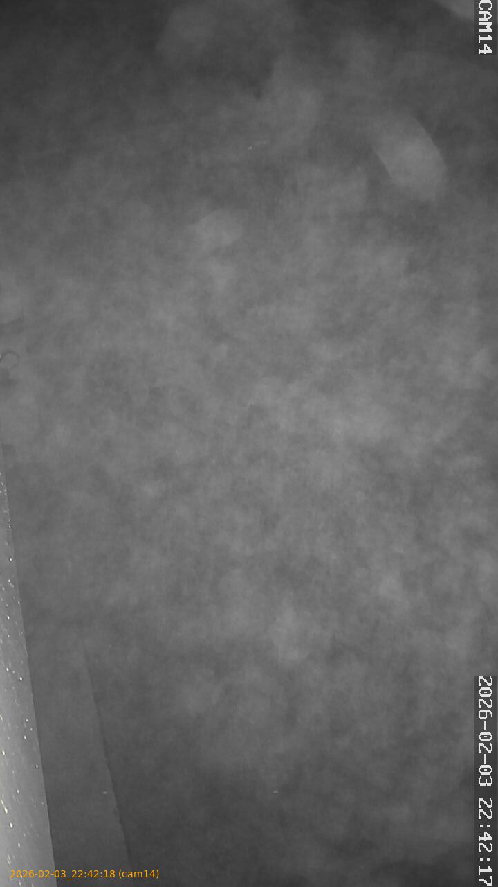 thumbnail_20260203224218