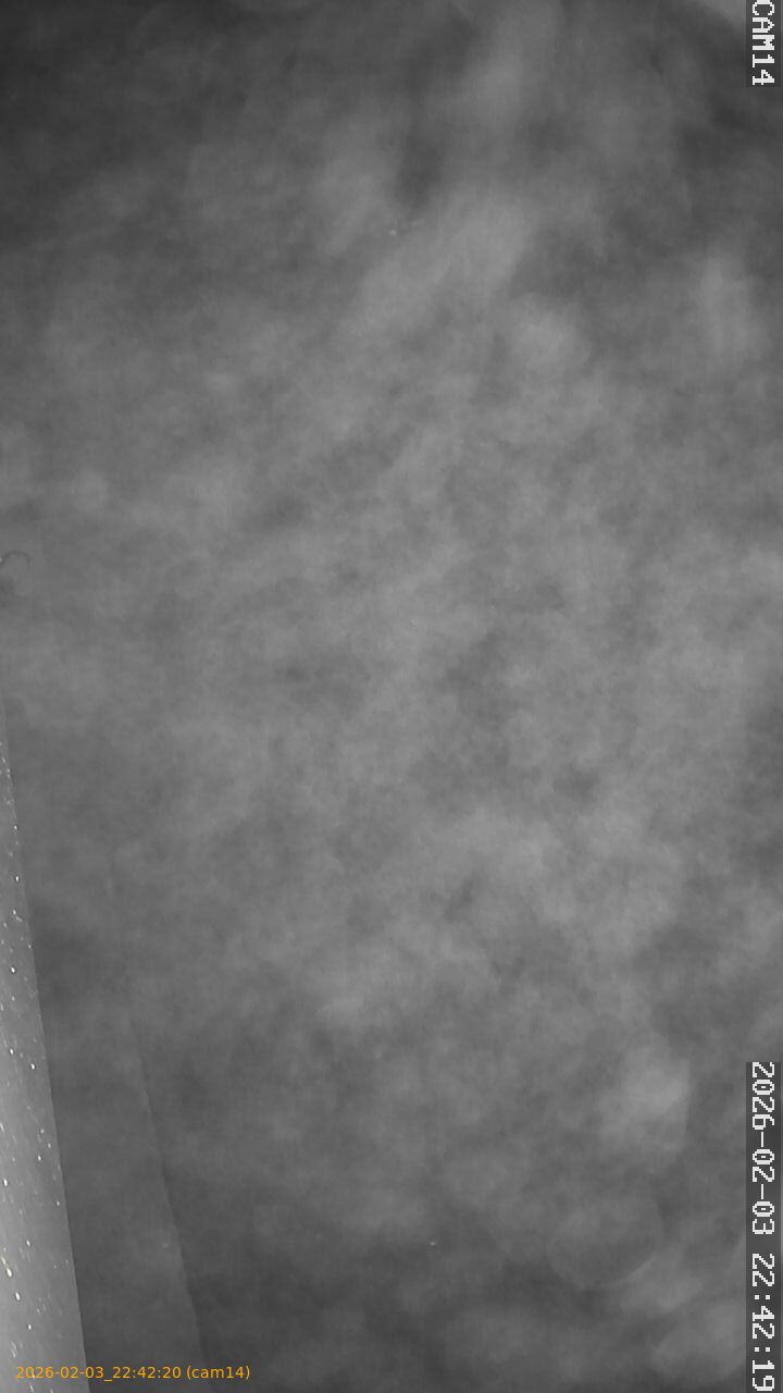 thumbnail_20260203224220