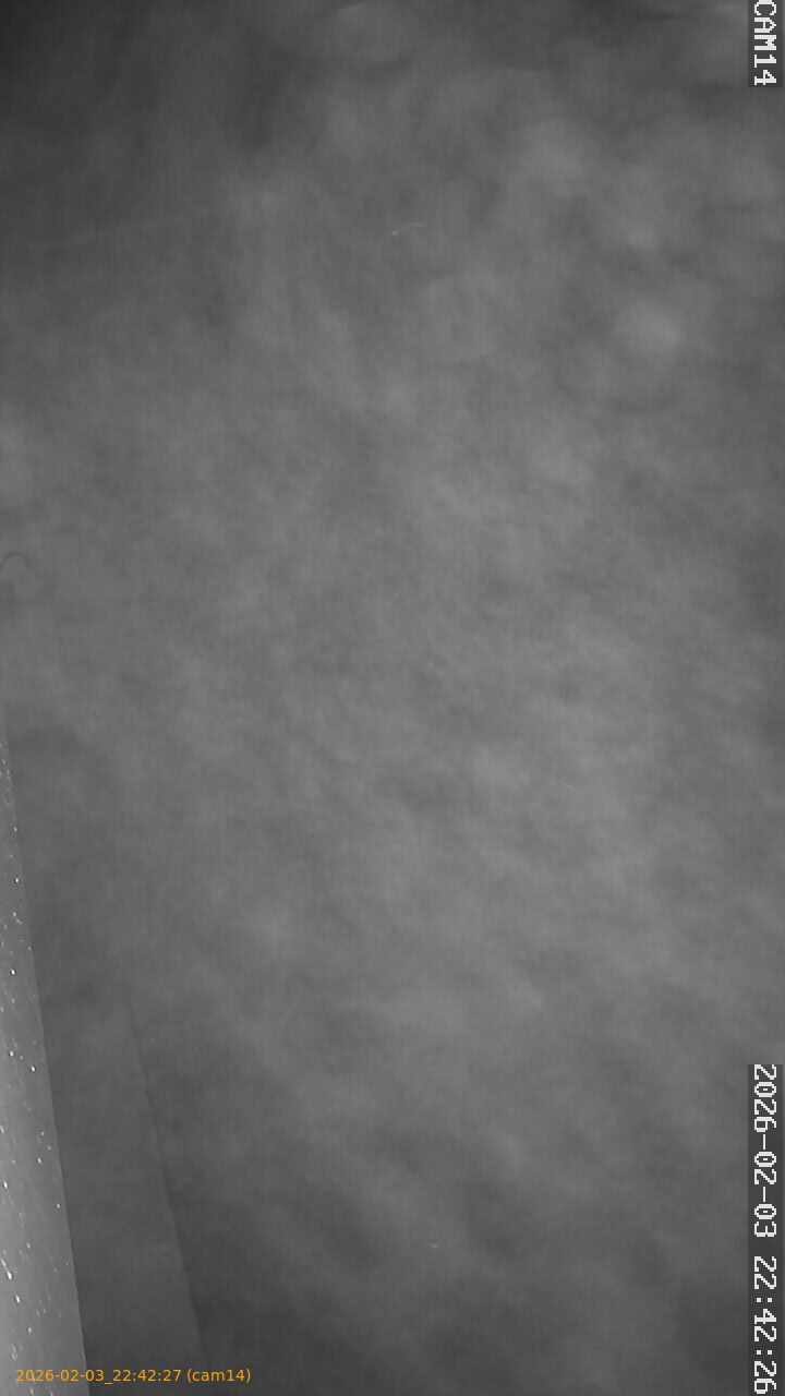 thumbnail_20260203224227