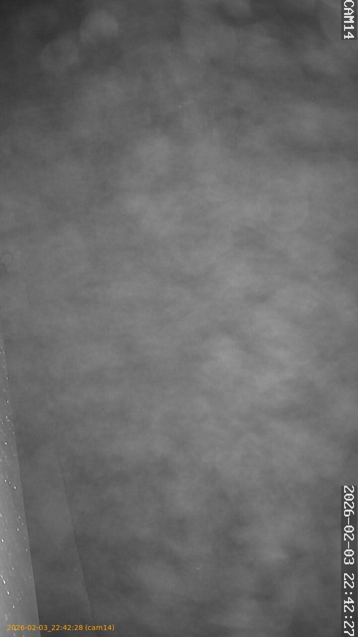 thumbnail_20260203224228