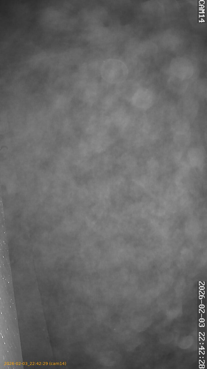 thumbnail_20260203224229