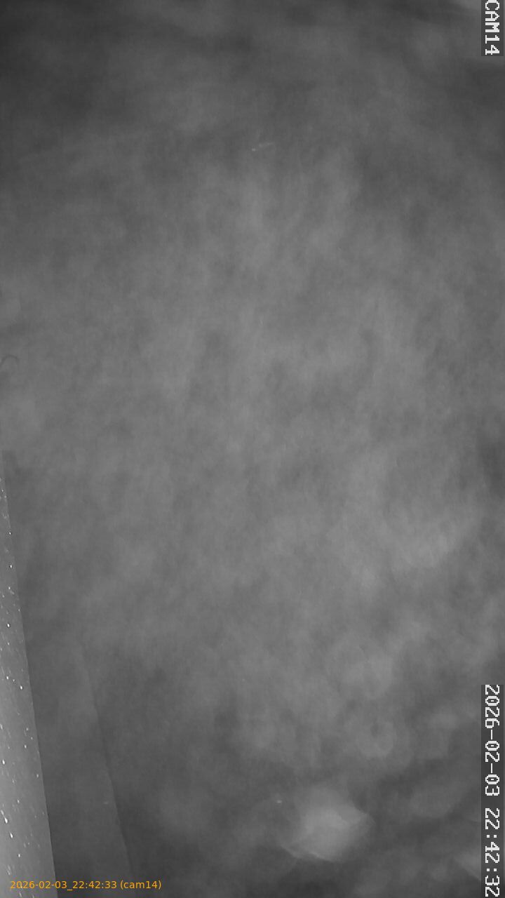 thumbnail_20260203224233