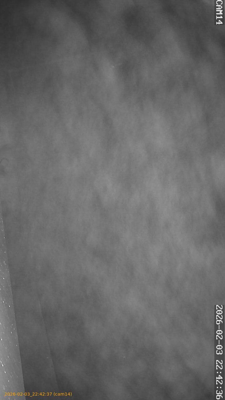 thumbnail_20260203224237