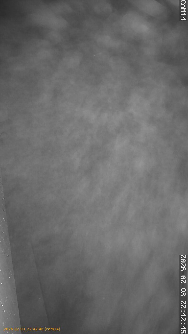 thumbnail_20260203224246