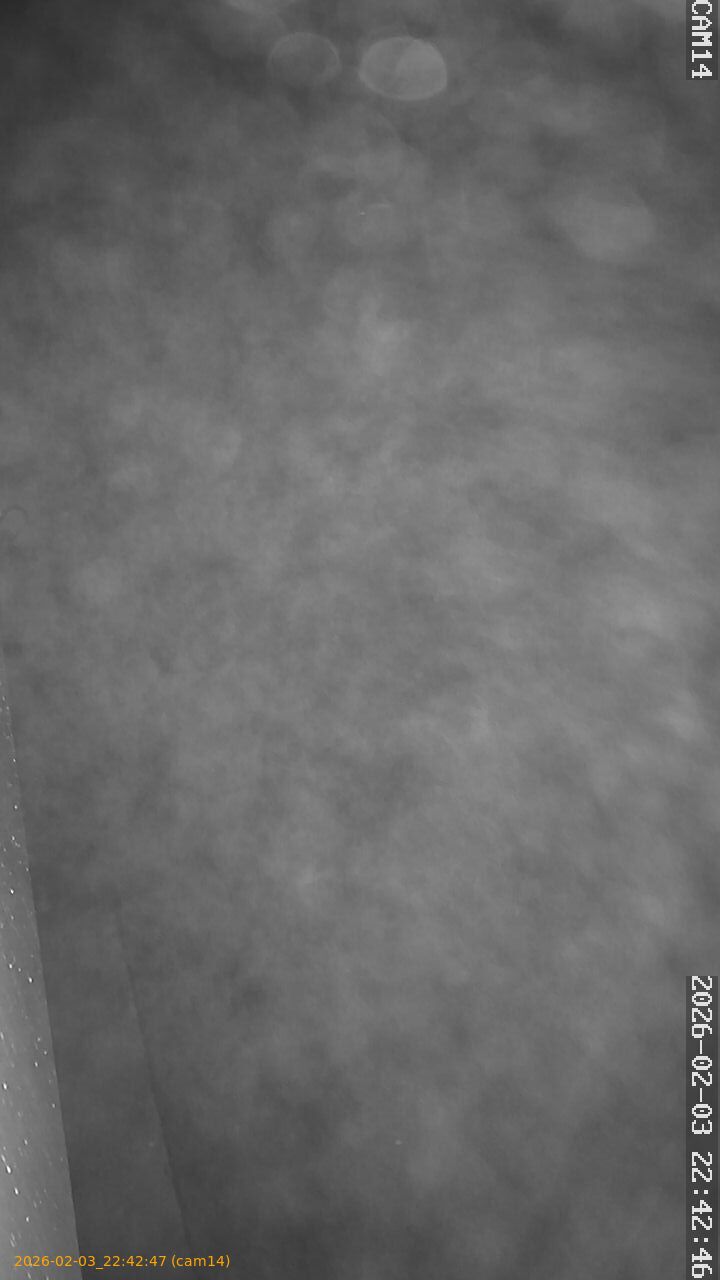 thumbnail_20260203224247