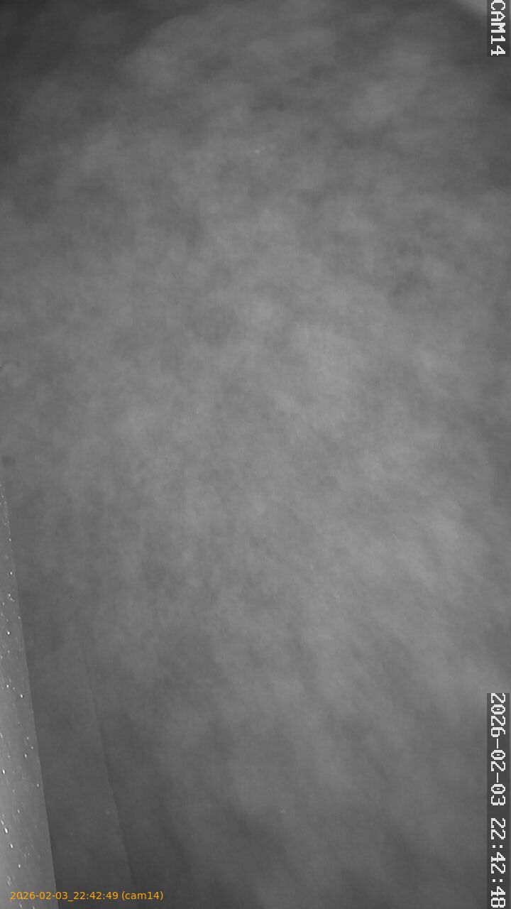 thumbnail_20260203224249