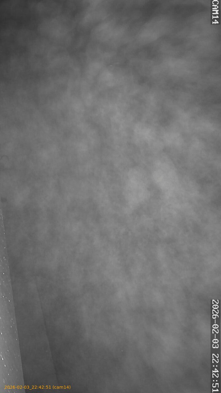 thumbnail_20260203224251