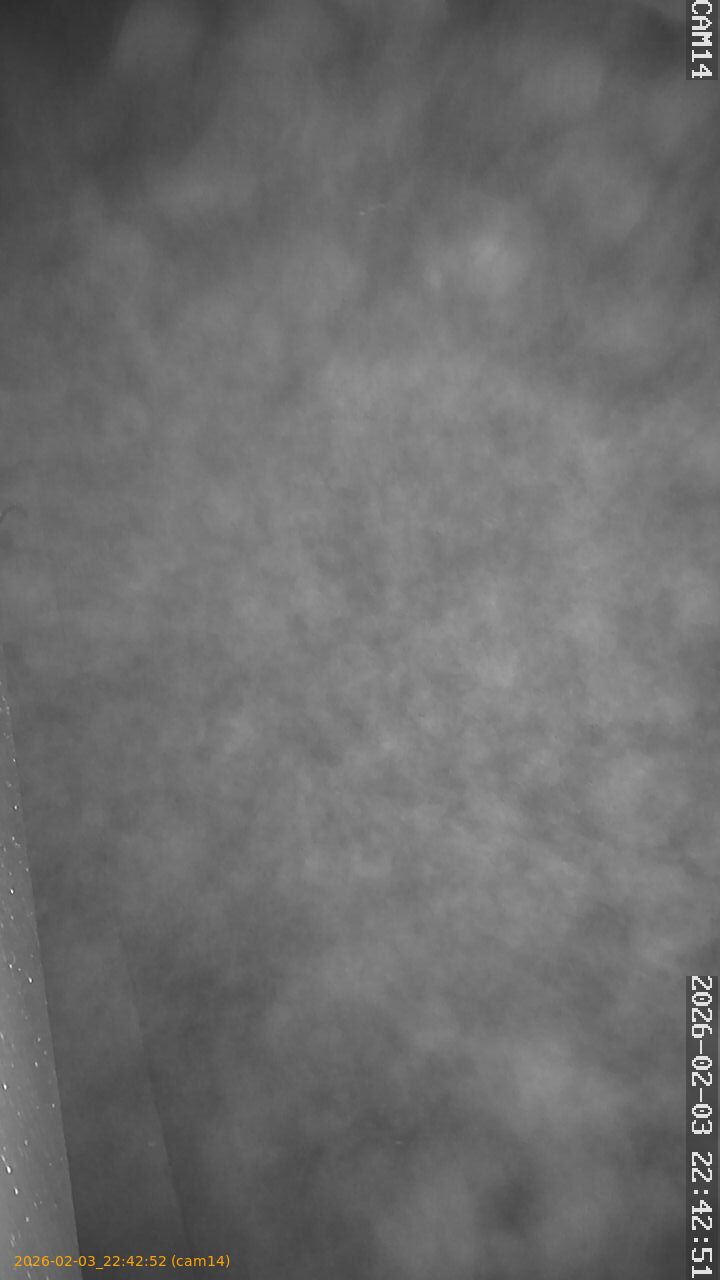 thumbnail_20260203224252