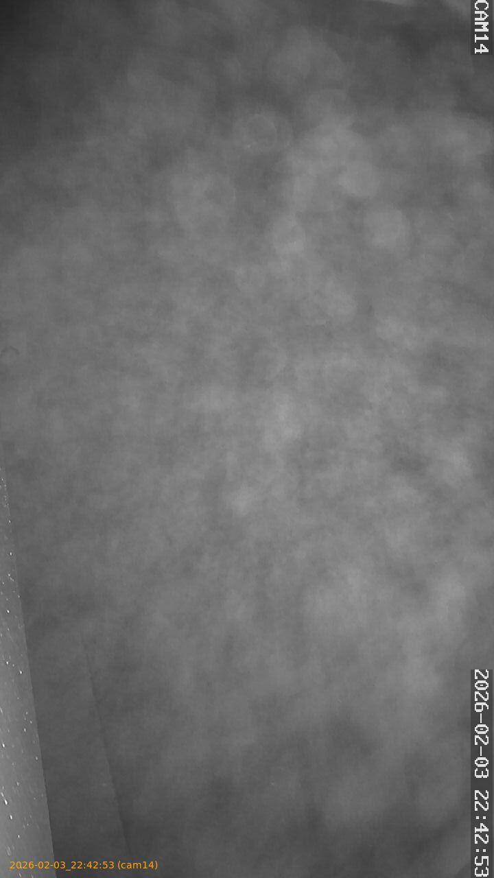 thumbnail_20260203224253