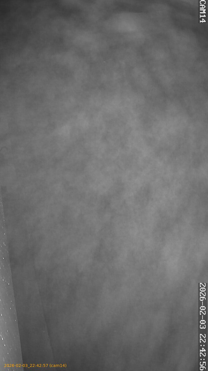 thumbnail_20260203224257