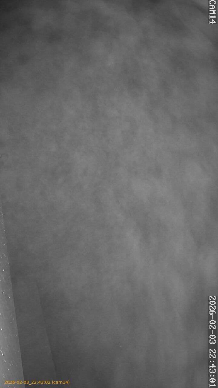 thumbnail_20260203224302