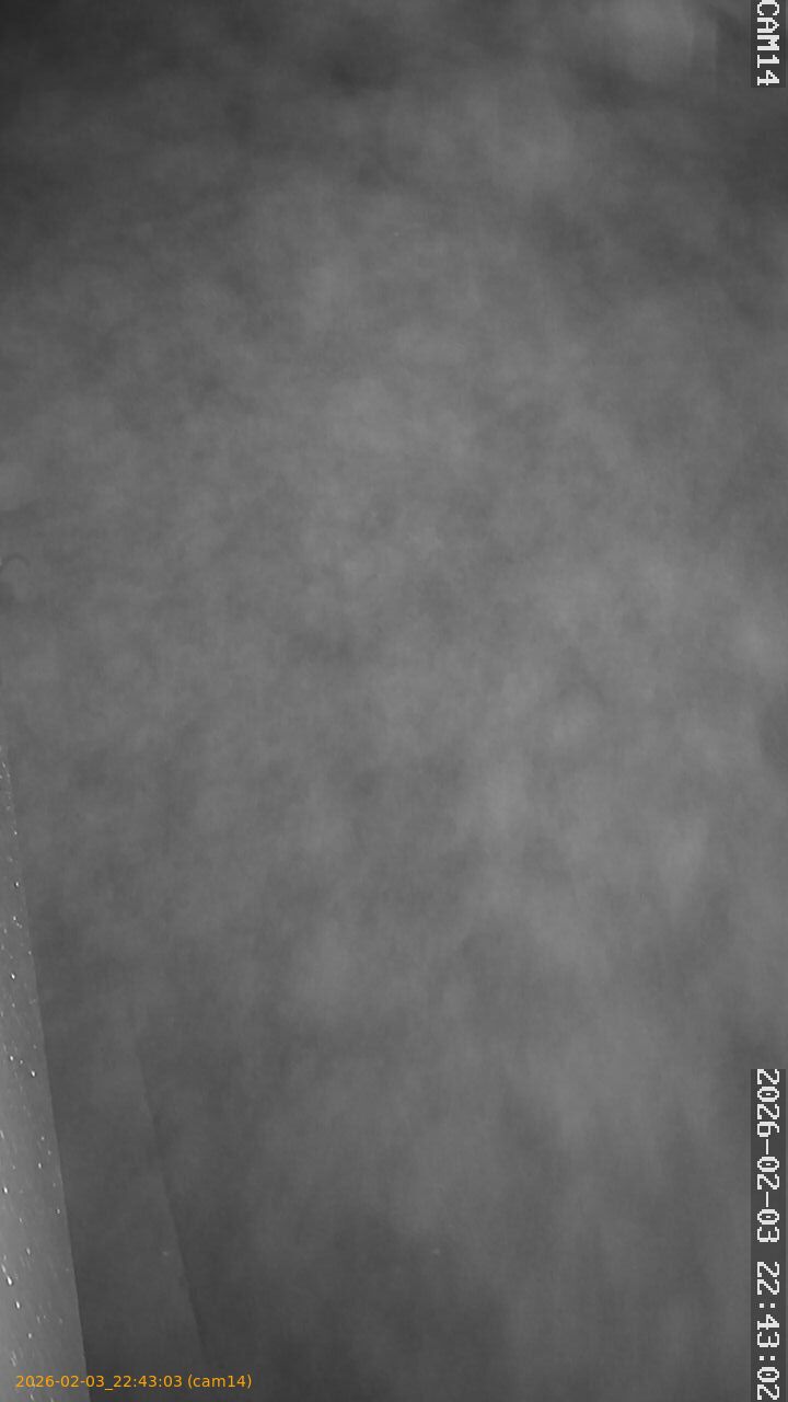 thumbnail_20260203224303