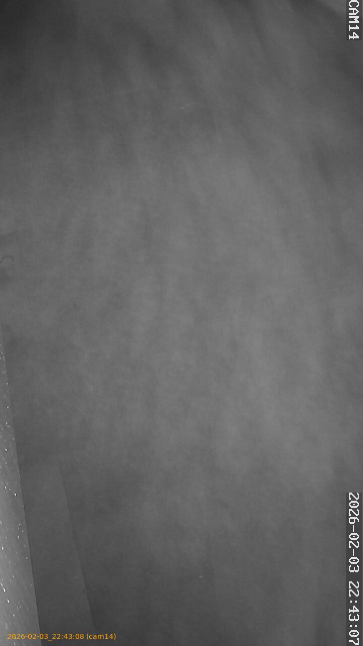 thumbnail_20260203224308