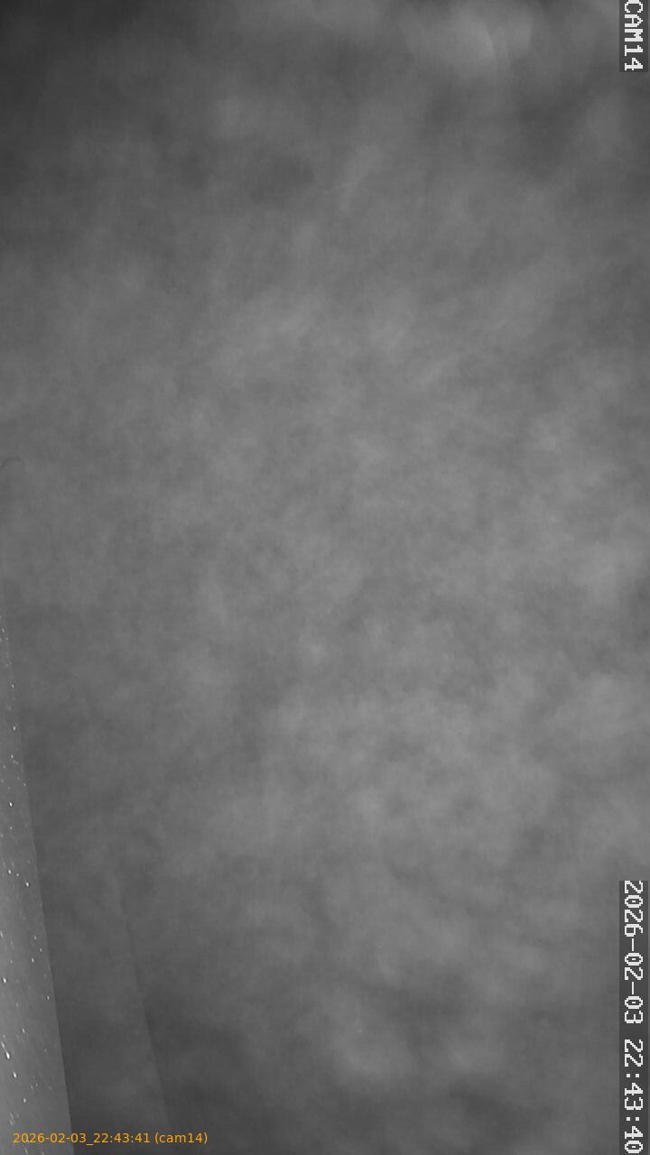 thumbnail_20260203224341