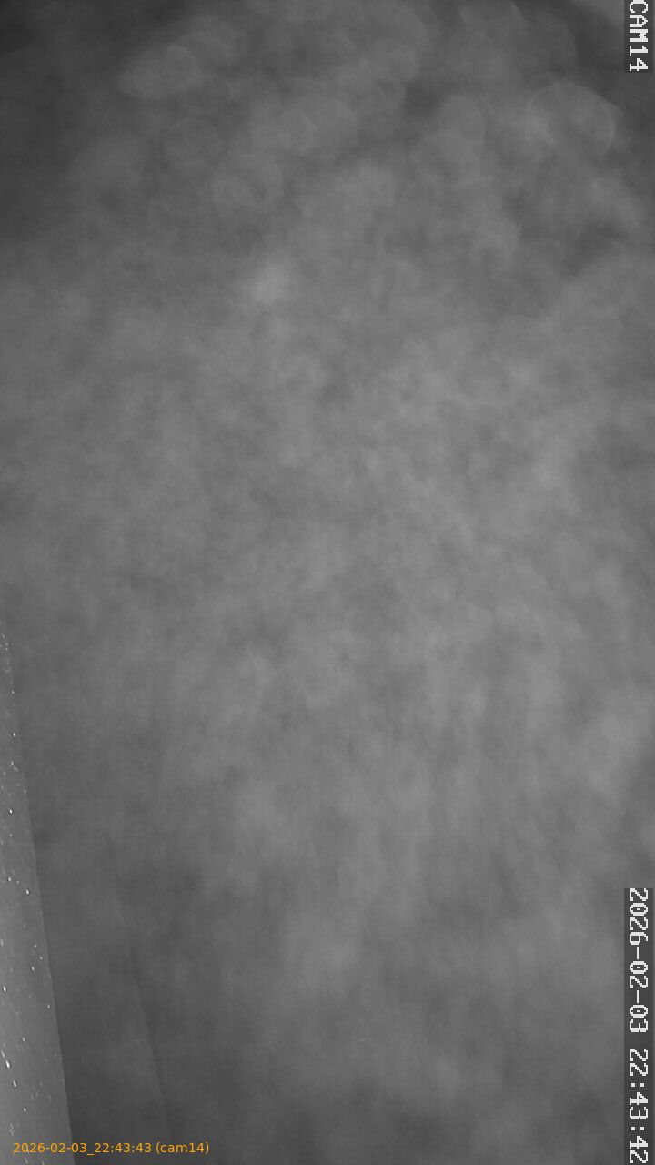 thumbnail_20260203224343