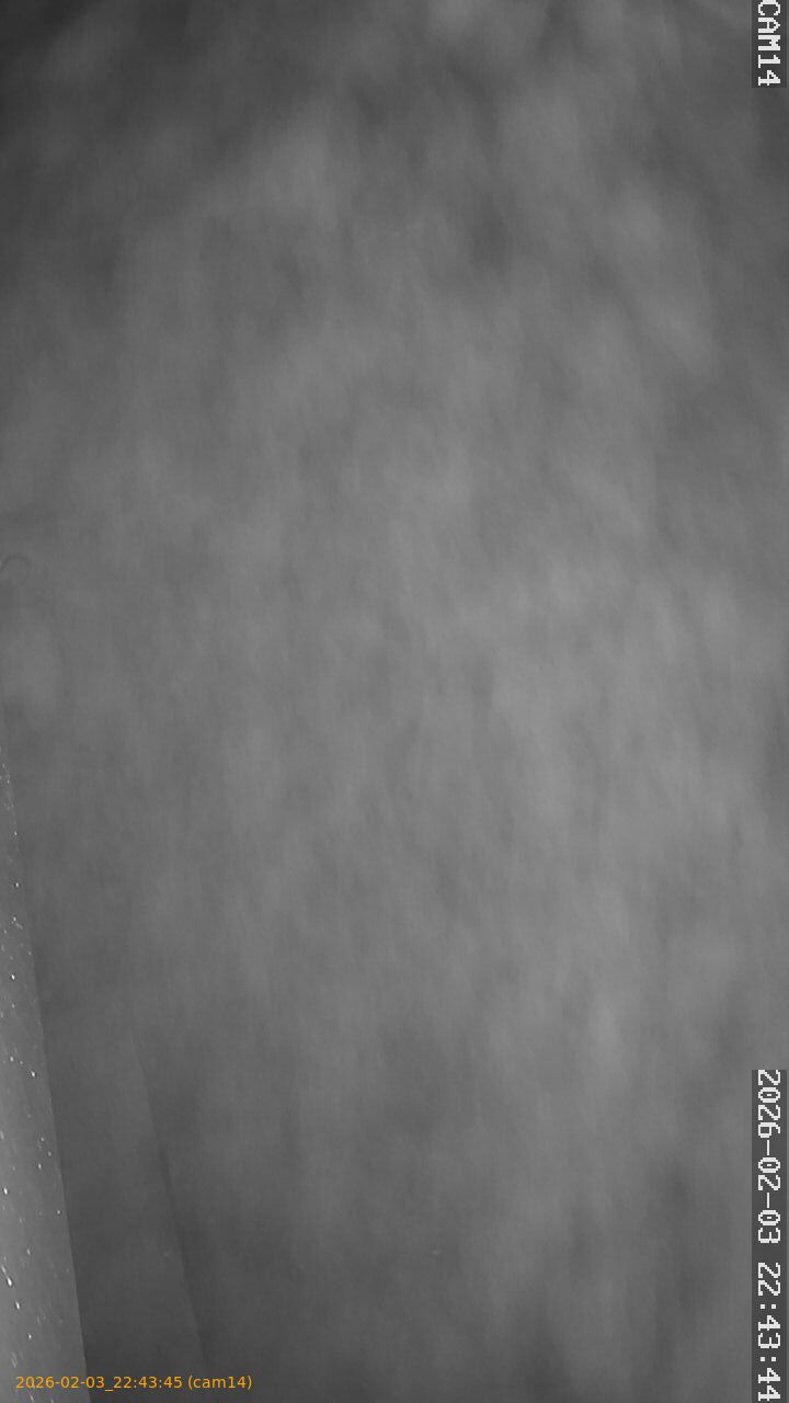 thumbnail_20260203224345