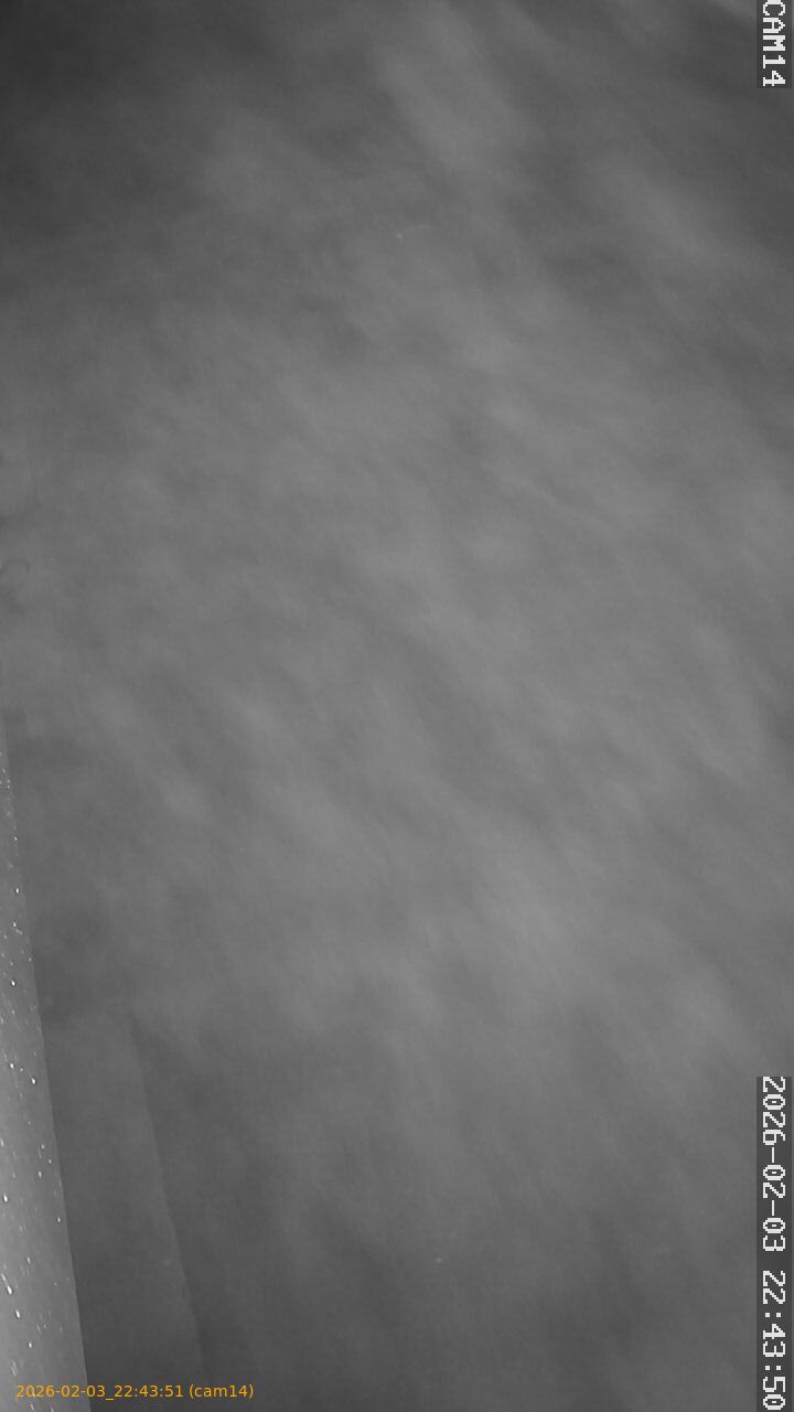 thumbnail_20260203224351