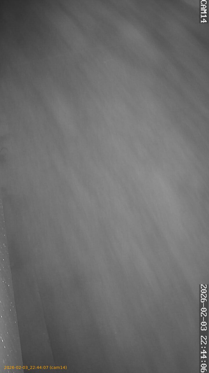 thumbnail_20260203224407