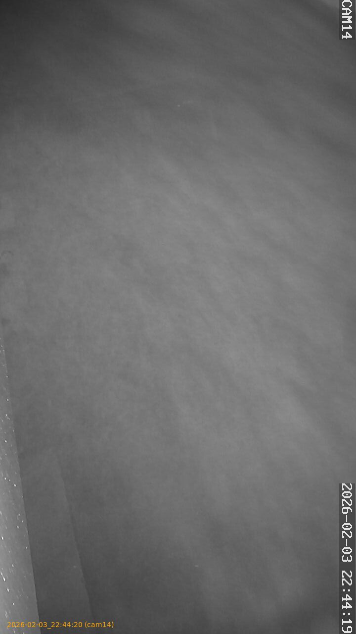 thumbnail_20260203224420