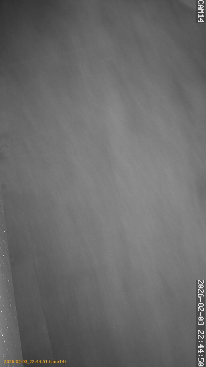 thumbnail_20260203224451