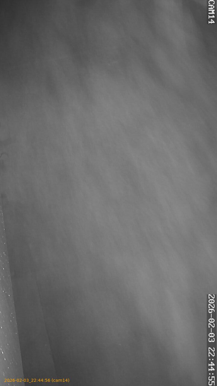 thumbnail_20260203224456