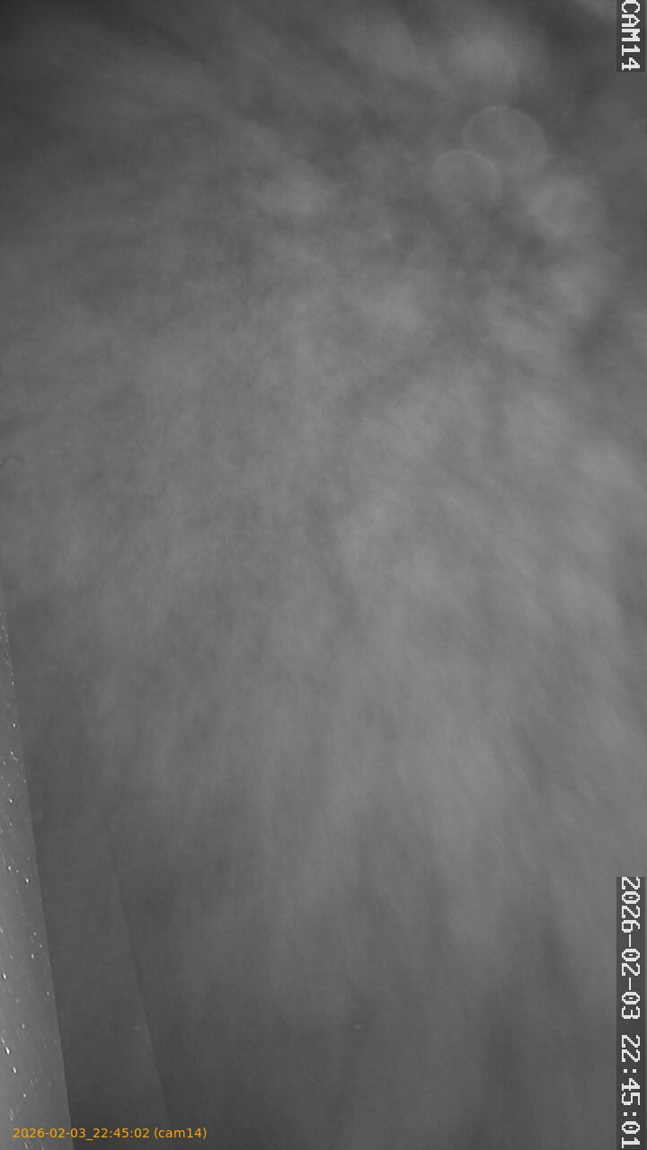 thumbnail_20260203224502