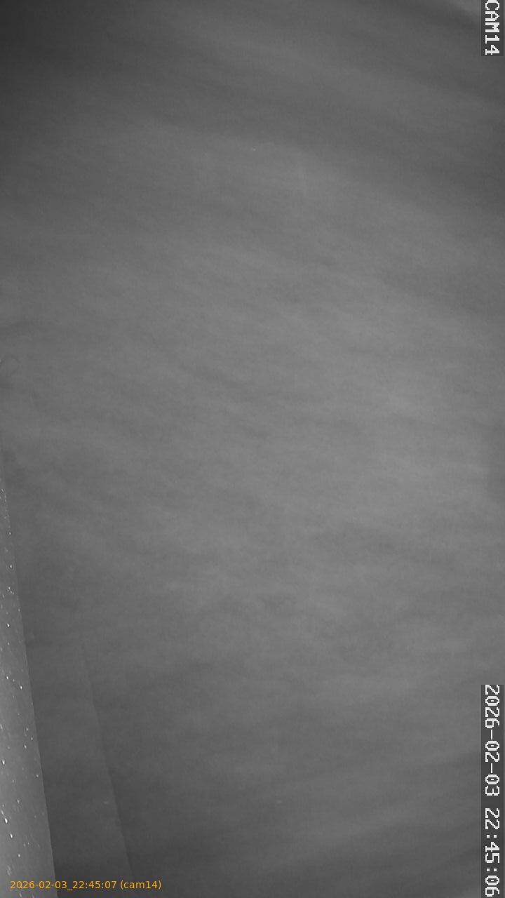 thumbnail_20260203224507