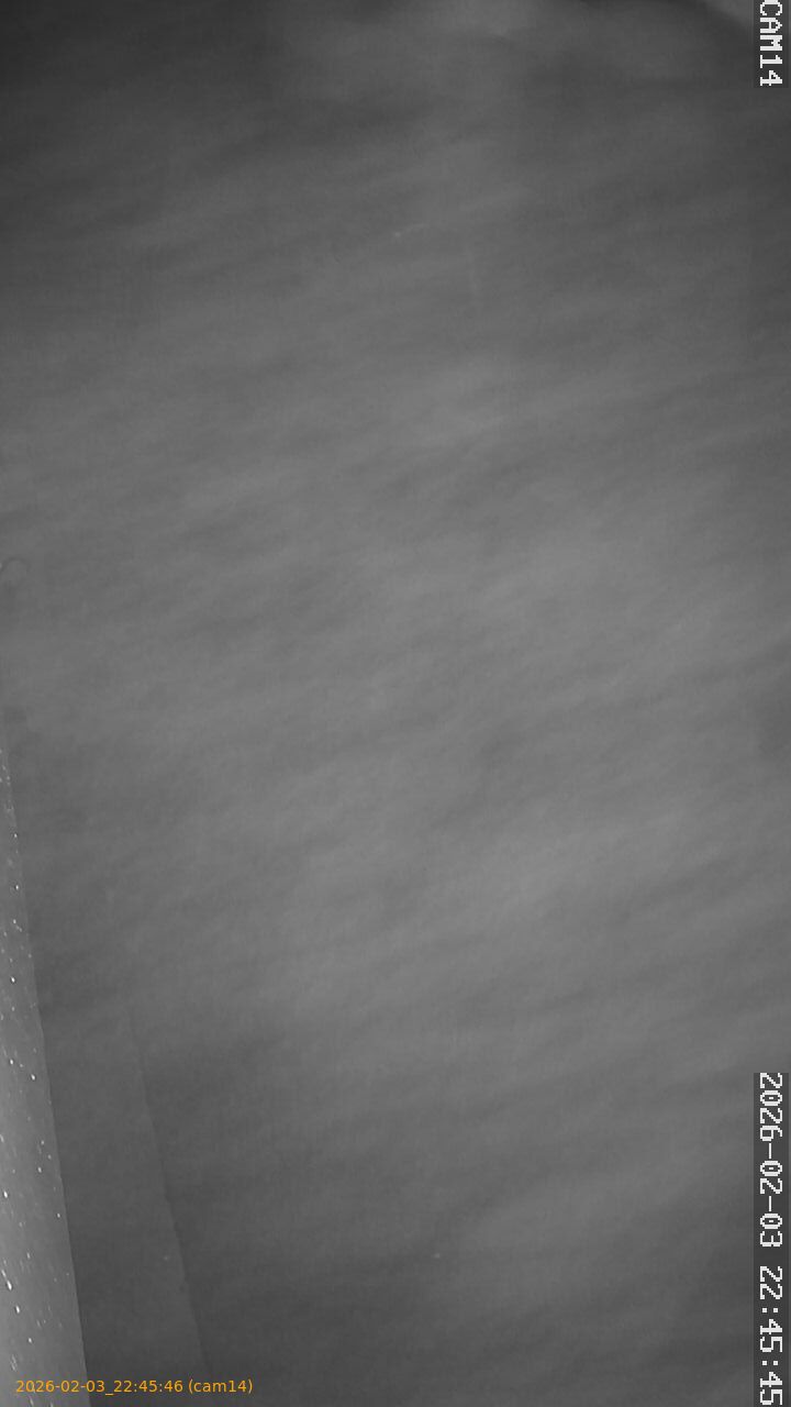 thumbnail_20260203224546