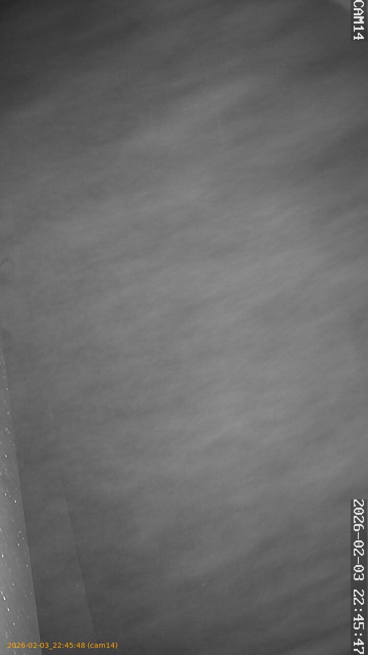 thumbnail_20260203224548