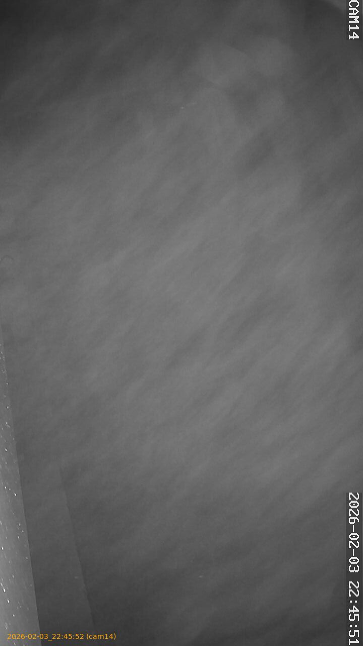 thumbnail_20260203224552