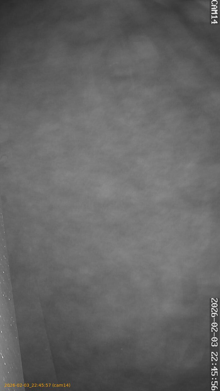 thumbnail_20260203224557