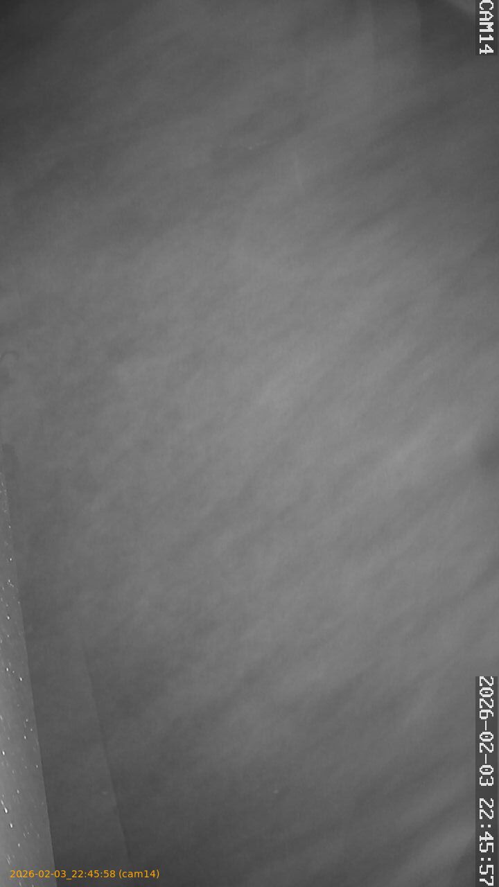 thumbnail_20260203224558