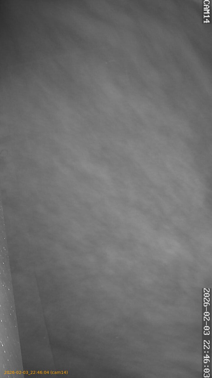 thumbnail_20260203224604