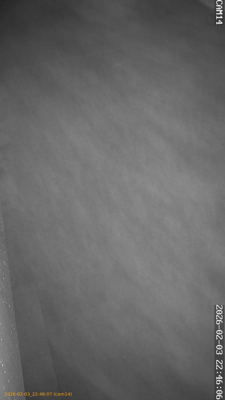 thumbnail_20260203224607