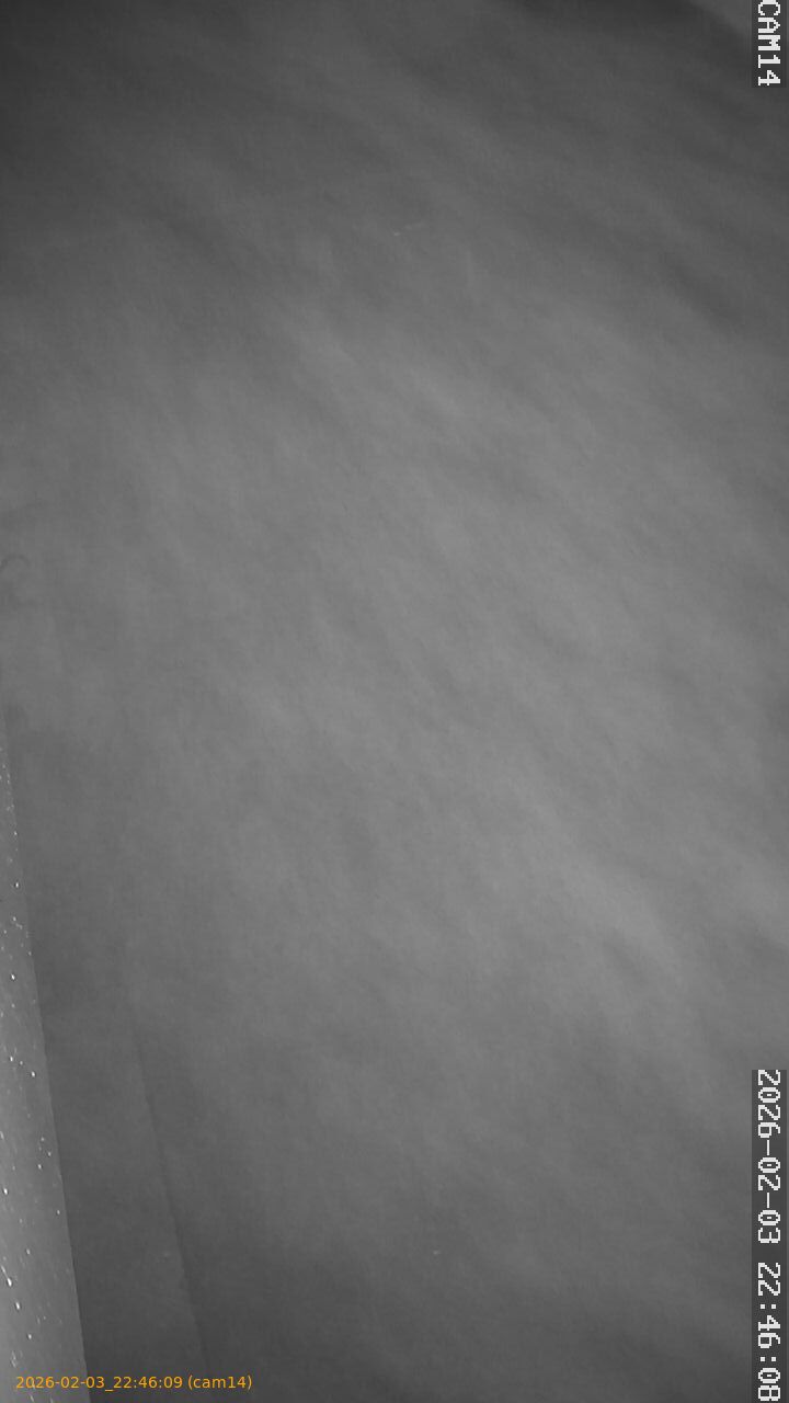 thumbnail_20260203224609