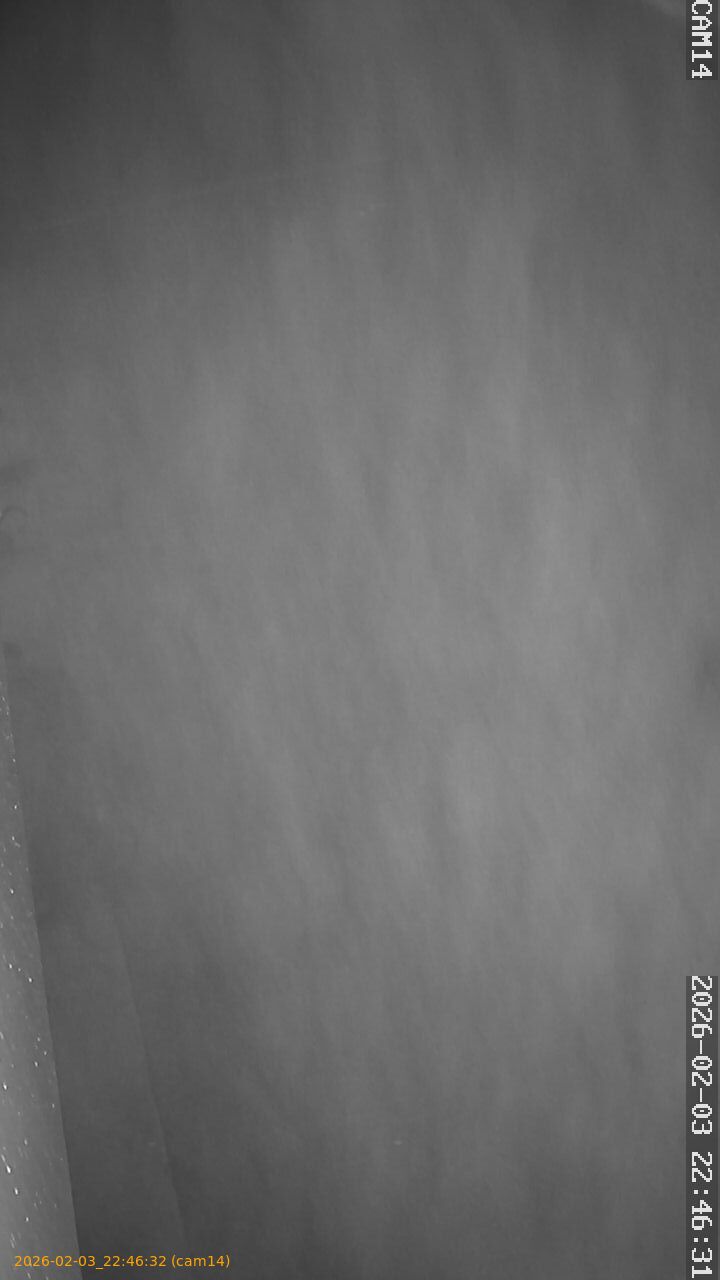 thumbnail_20260203224632