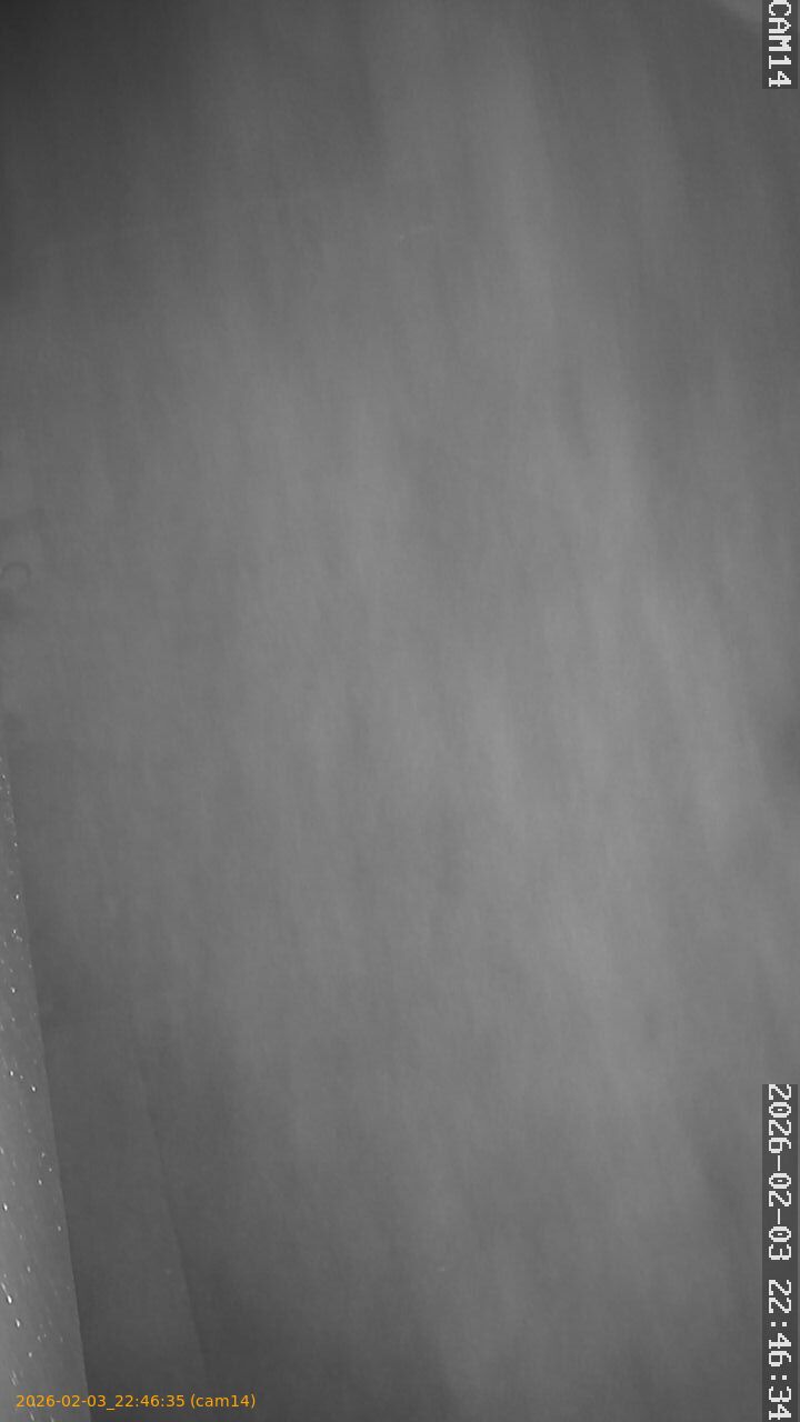 thumbnail_20260203224635