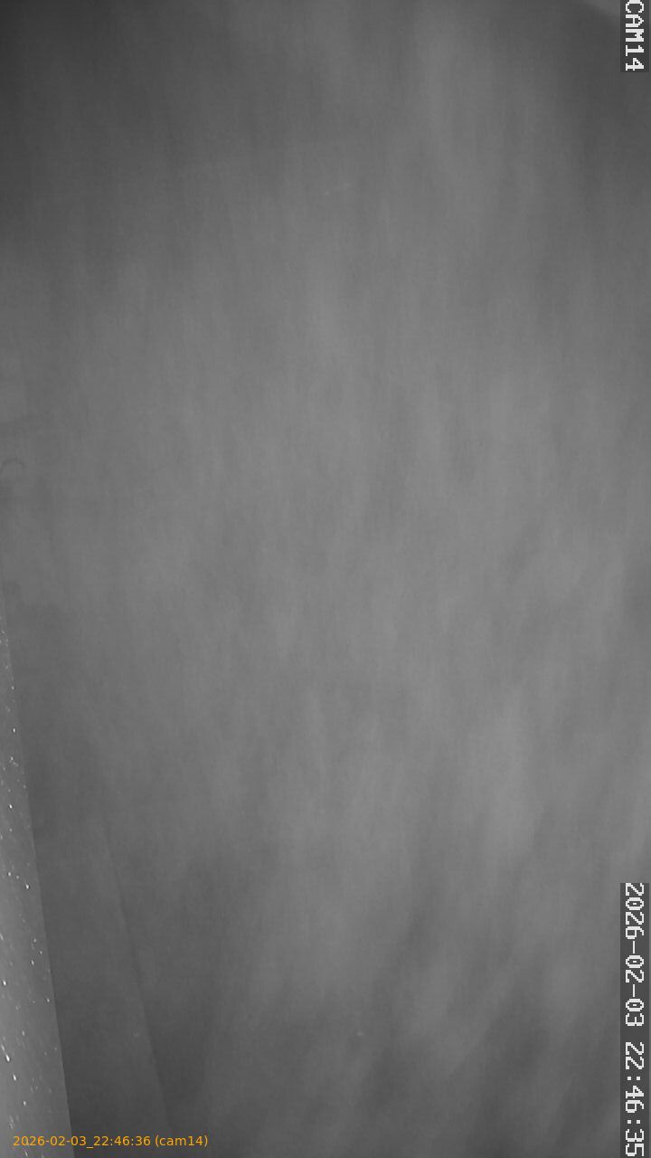 thumbnail_20260203224636