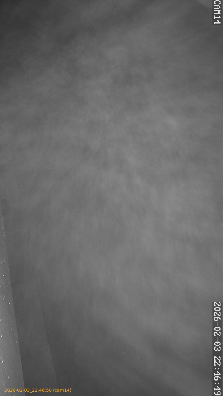 thumbnail_20260203224650