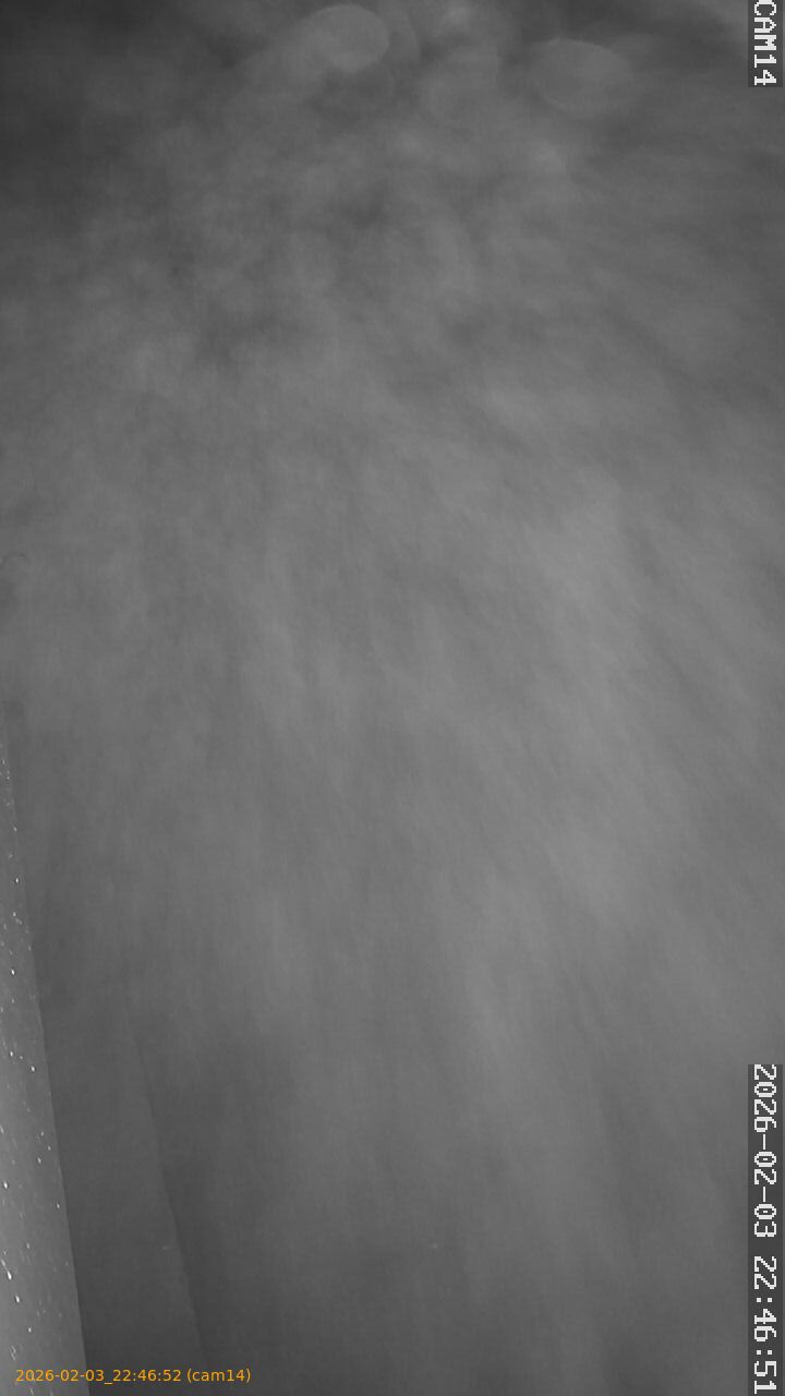 thumbnail_20260203224652