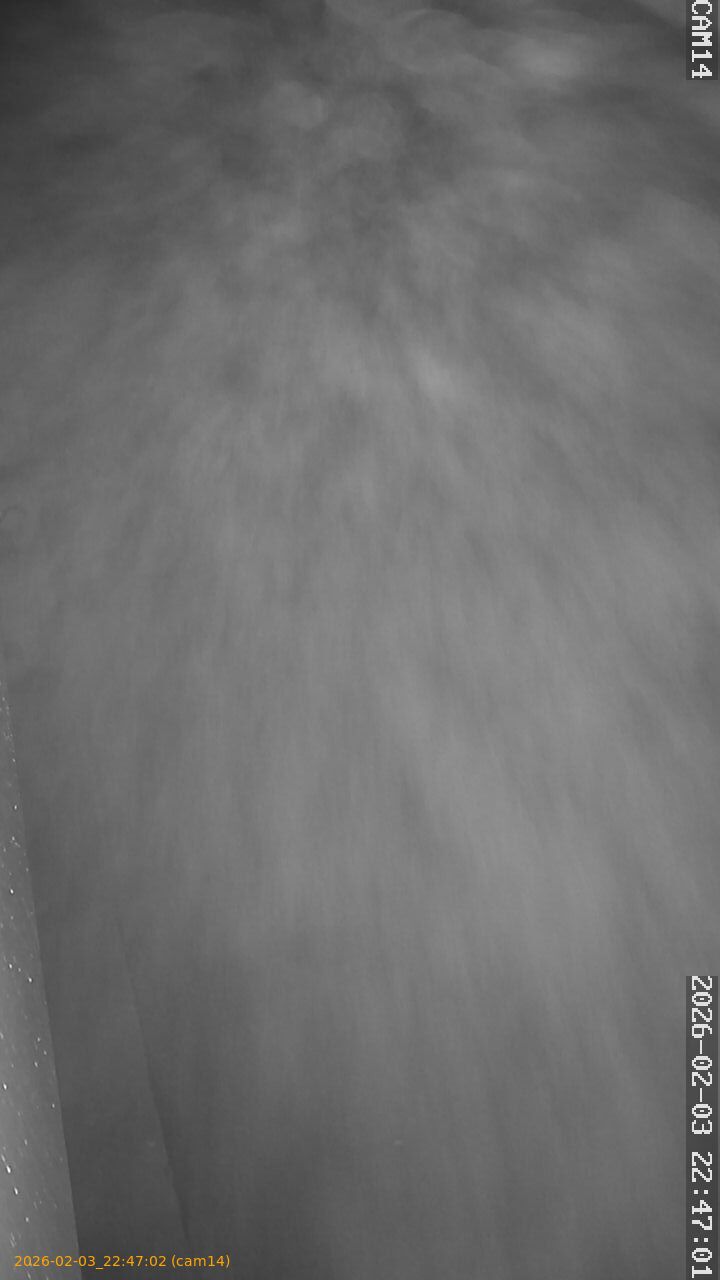 thumbnail_20260203224702