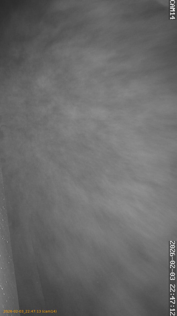 thumbnail_20260203224713