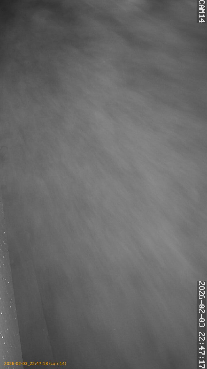 thumbnail_20260203224718