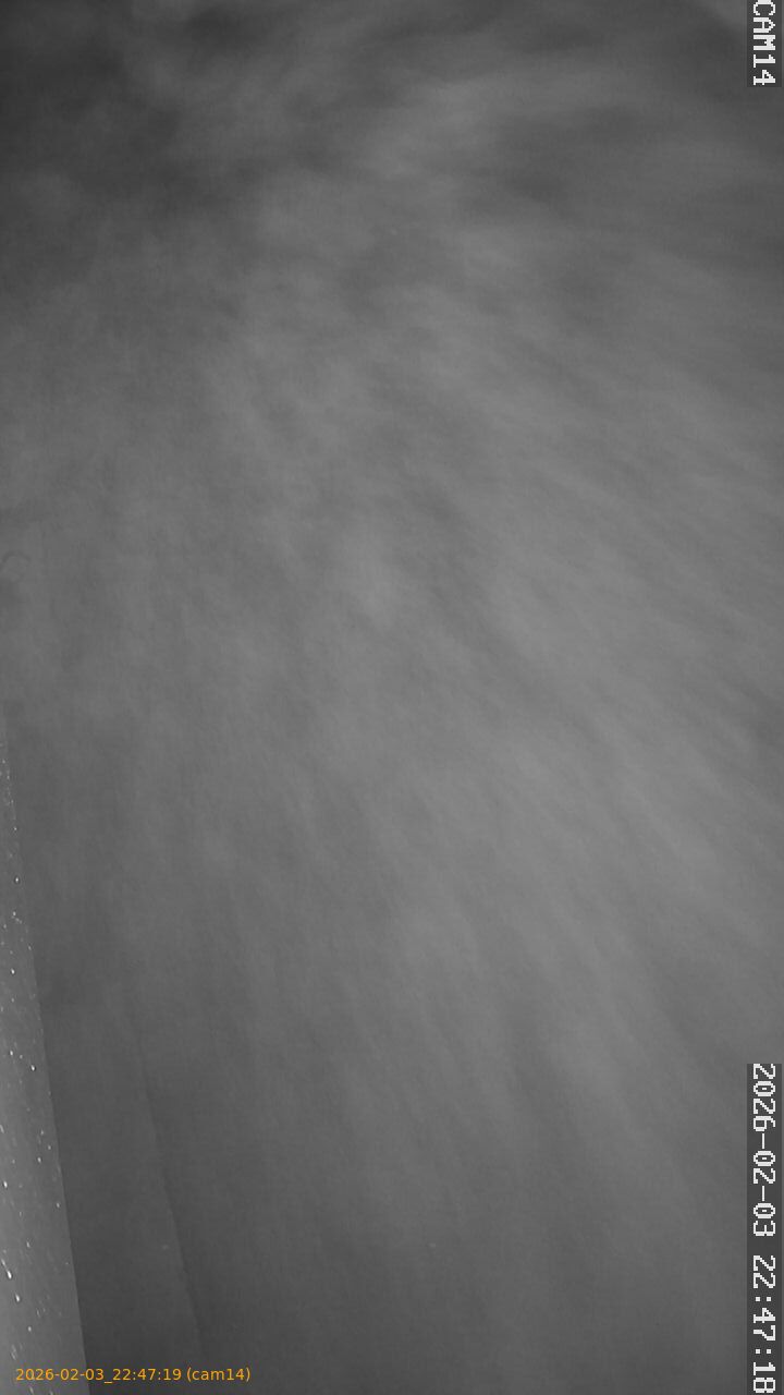 thumbnail_20260203224719