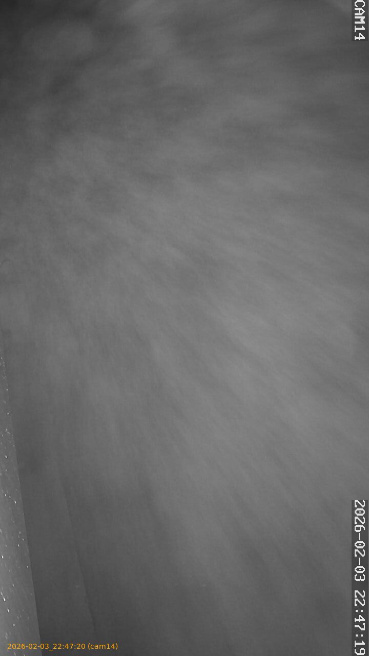 thumbnail_20260203224720