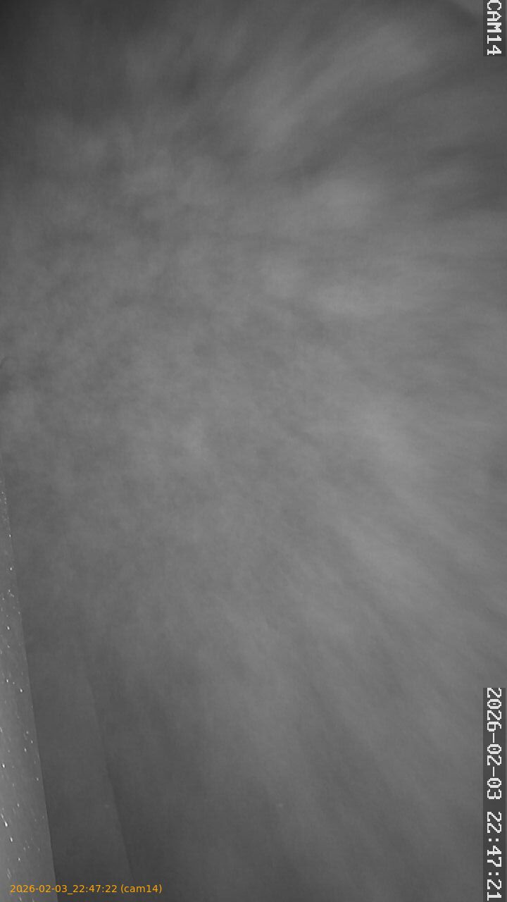 thumbnail_20260203224722