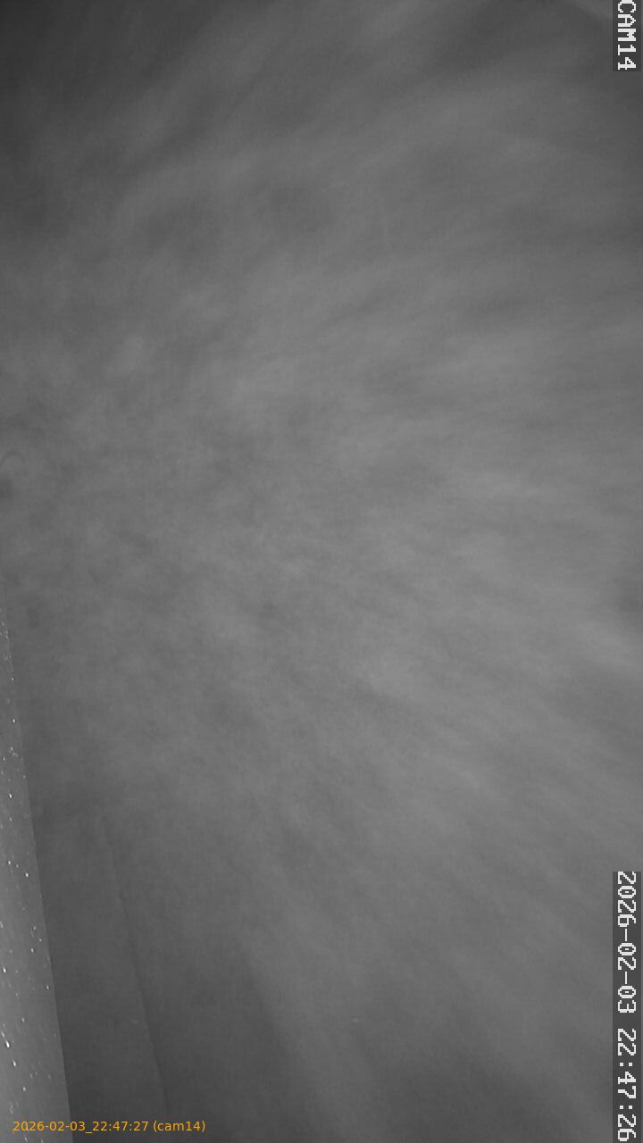 thumbnail_20260203224727