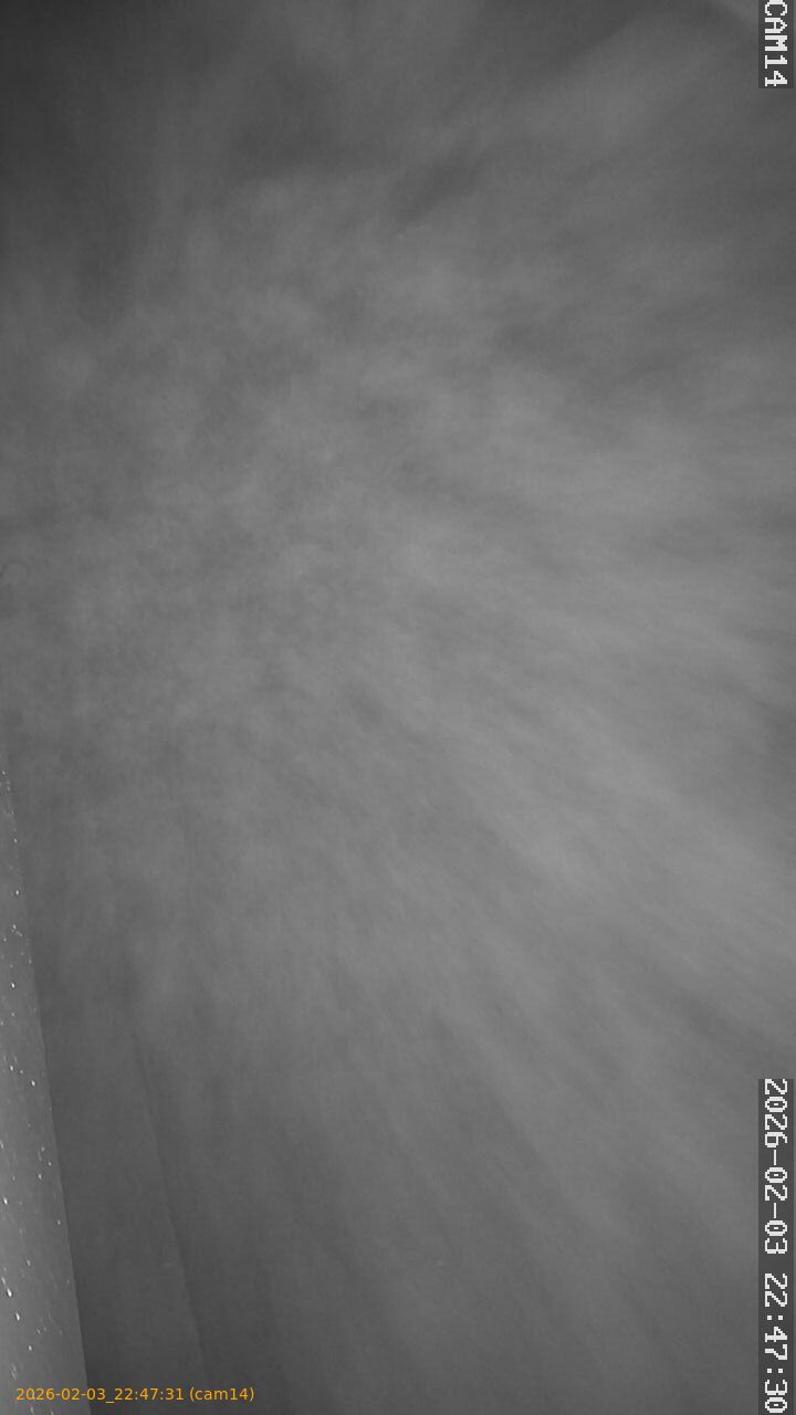 thumbnail_20260203224731