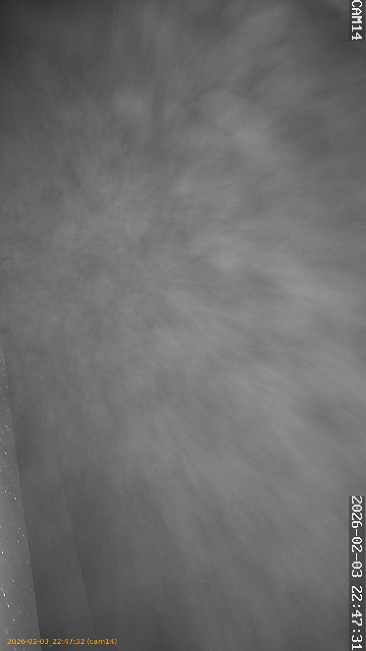 thumbnail_20260203224732