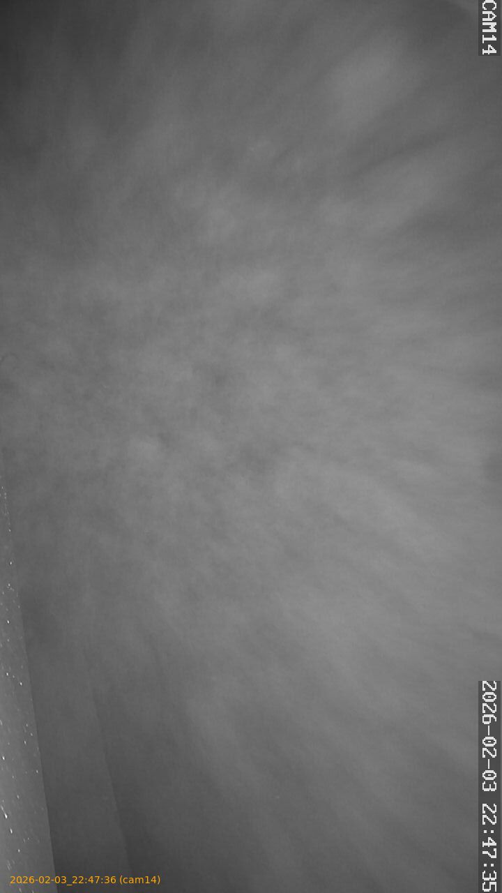 thumbnail_20260203224736